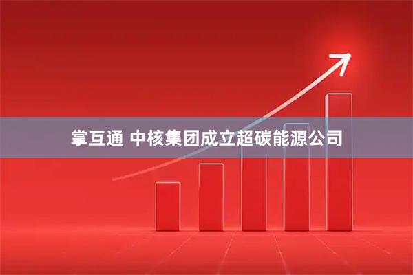掌互通 中核集团成立超碳能源公司