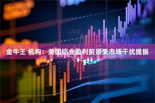 金牛王 机构：美国铝业盈利前景受市场干扰提振