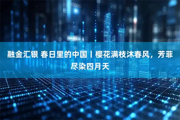 融金汇银 春日里的中国丨樱花满枝沐春风，芳菲尽染四月天